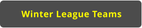 Winter League Teams